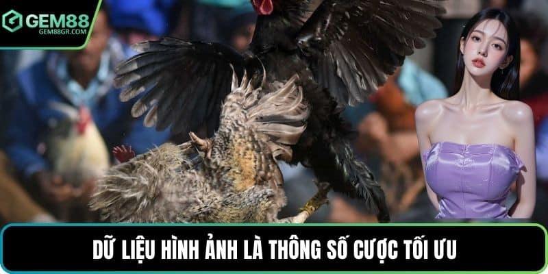 Dữ liệu hình ảnh là thông số cược tối ưu