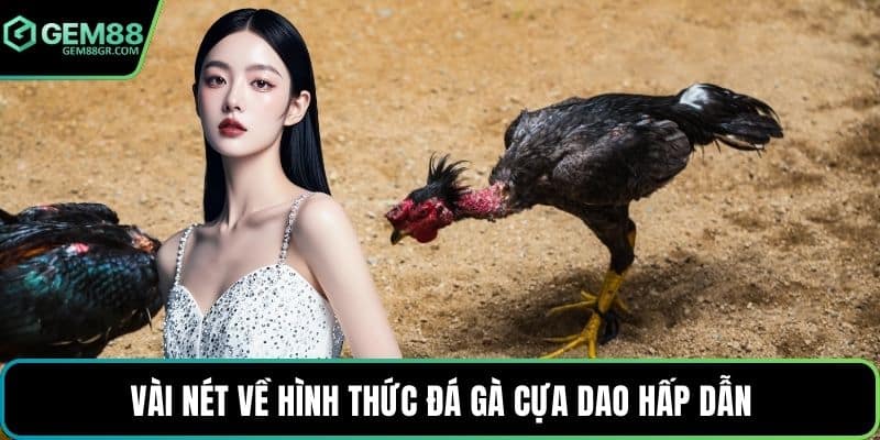 Vài nét về hình thức đá gà cựa dao hấp dẫn